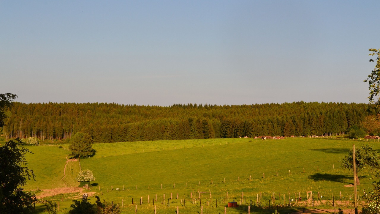 Photo of Others in Vresse-sur-Semois