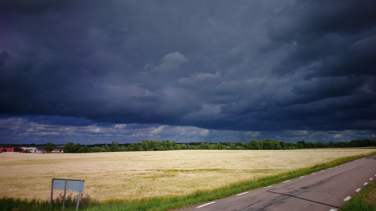 Photo of Others in Laholm