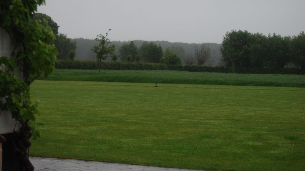Photo of Outdoor in Sint-Kruis