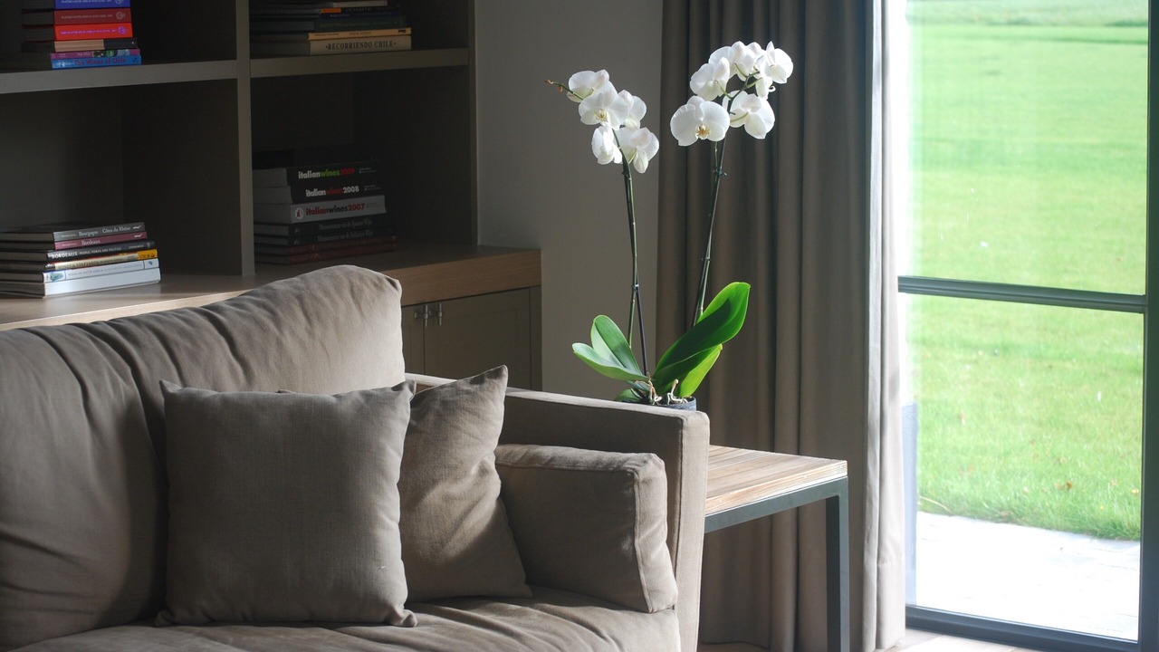 Photo of Livingroom in Sint-Kruis