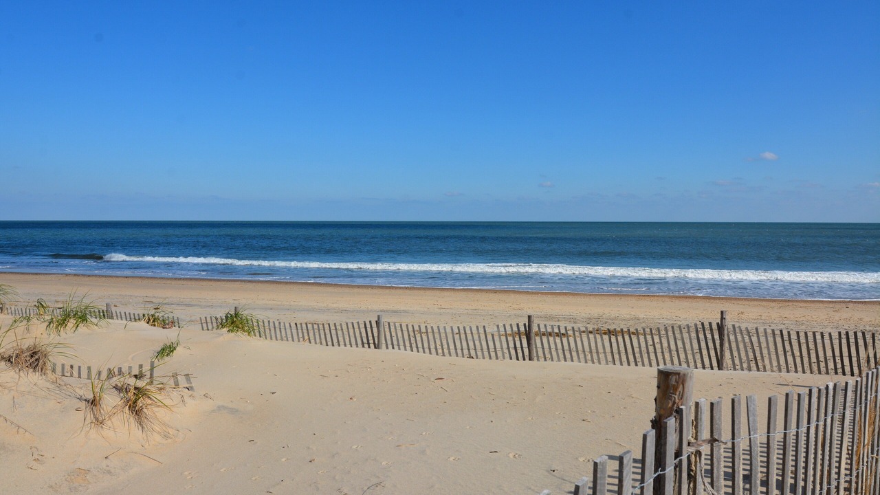 Photo of Others in Rehoboth by the Sea