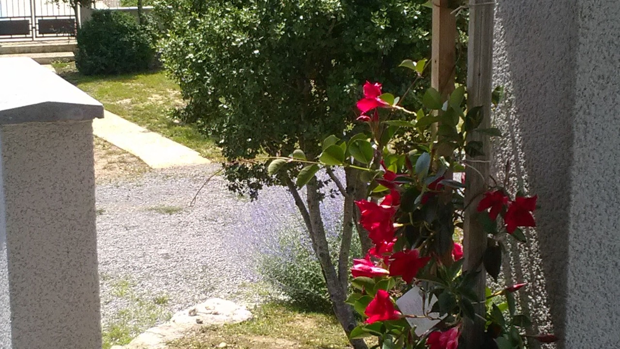 Photo of Outdoor in Labeaume