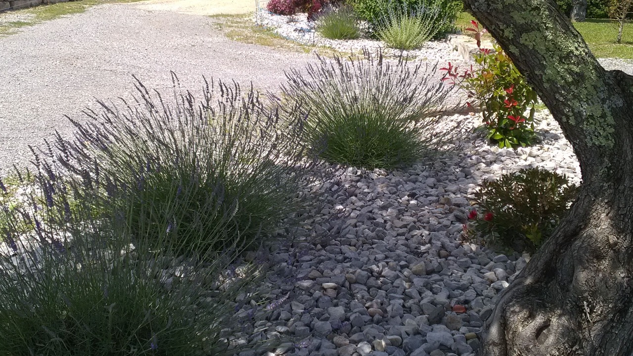 Photo of Outdoor in Labeaume