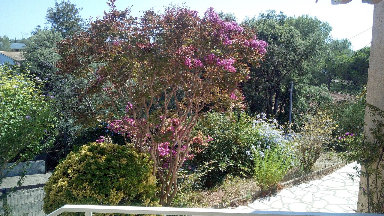 Photo of Outdoor in Saint-Raphael