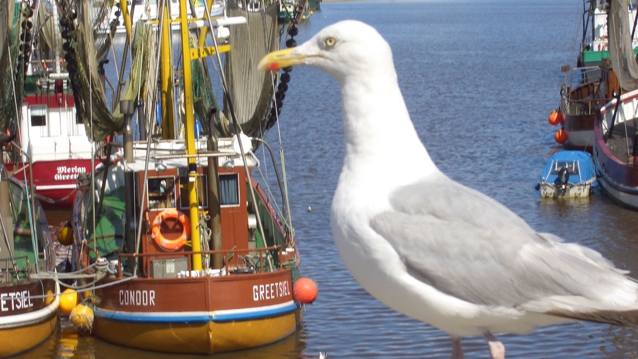 Photo of Outdoor in Greetsiel