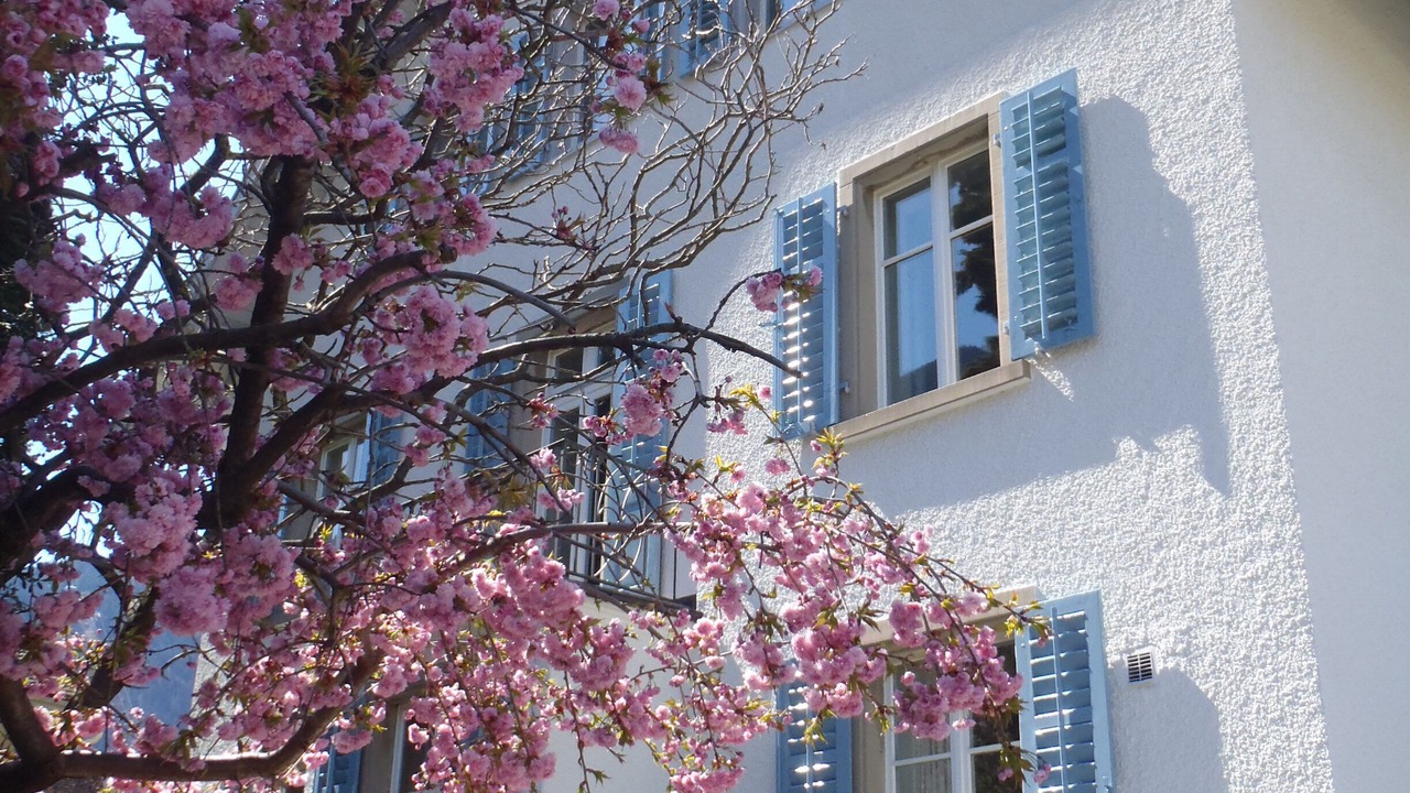 Photo of Outdoor in Chur