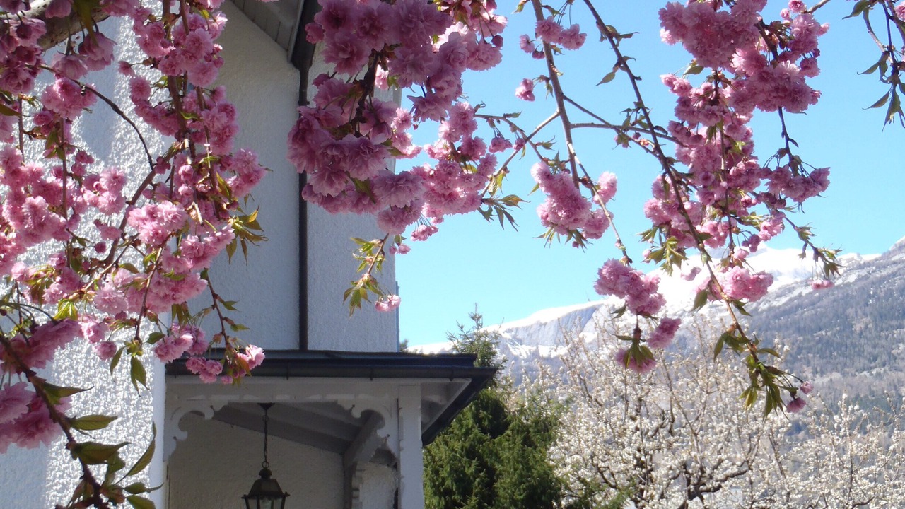 Photo of Outdoor in Chur
