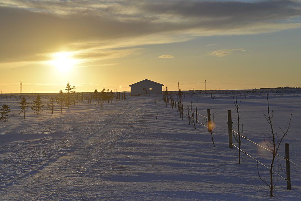 Photo of Others in Selfoss