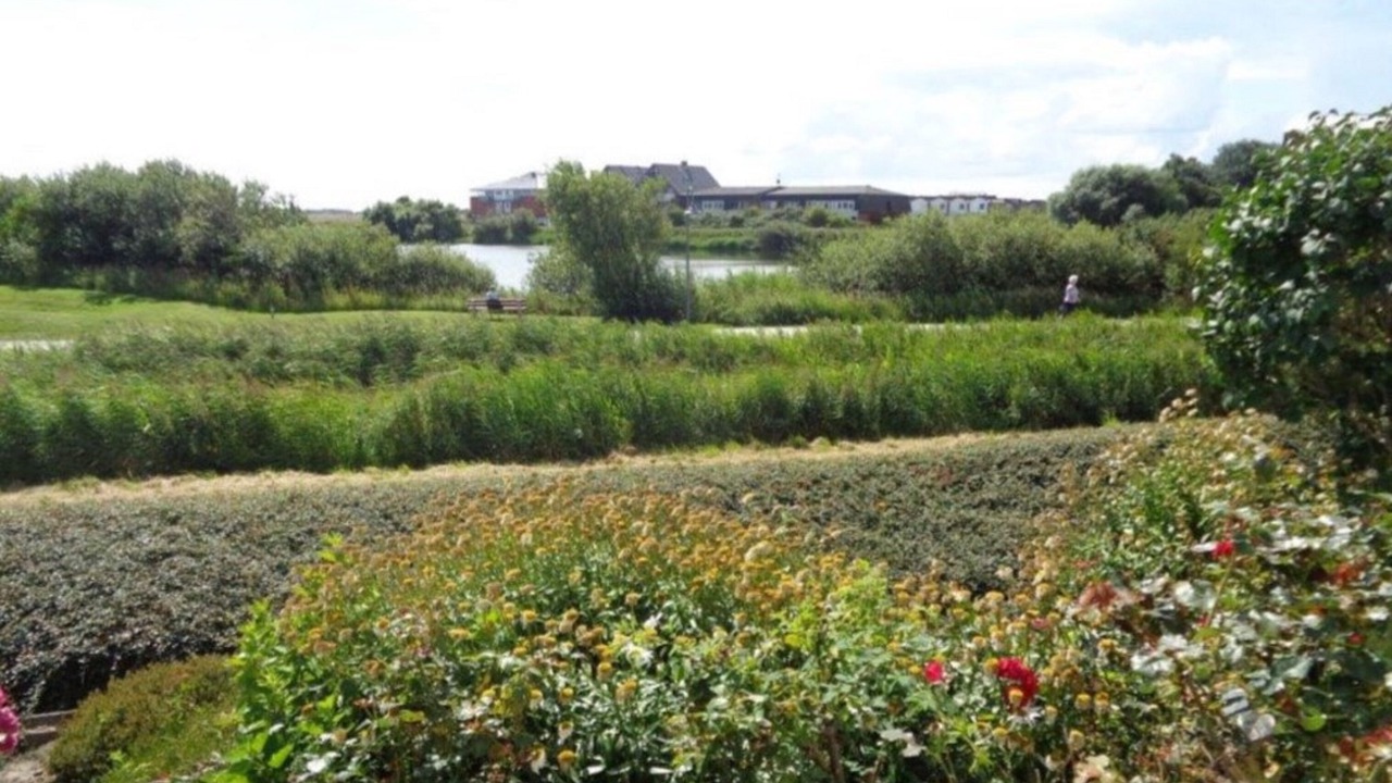 Photo of Outdoor in Norderhafen