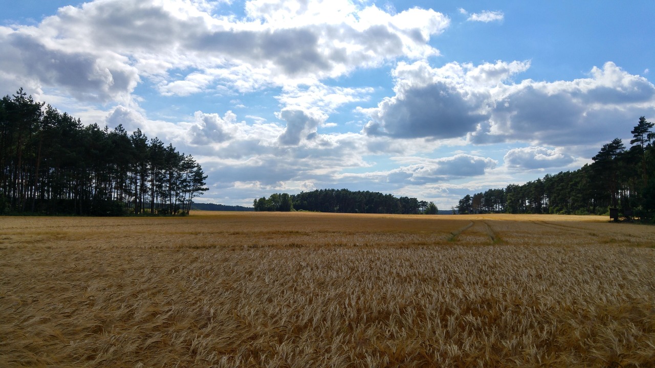 Photo of Others in Hitzacker