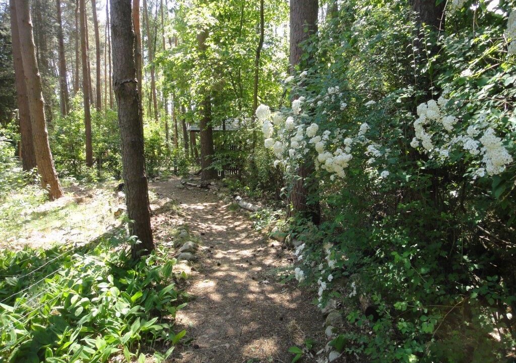 Photo of Outdoor in Hitzacker