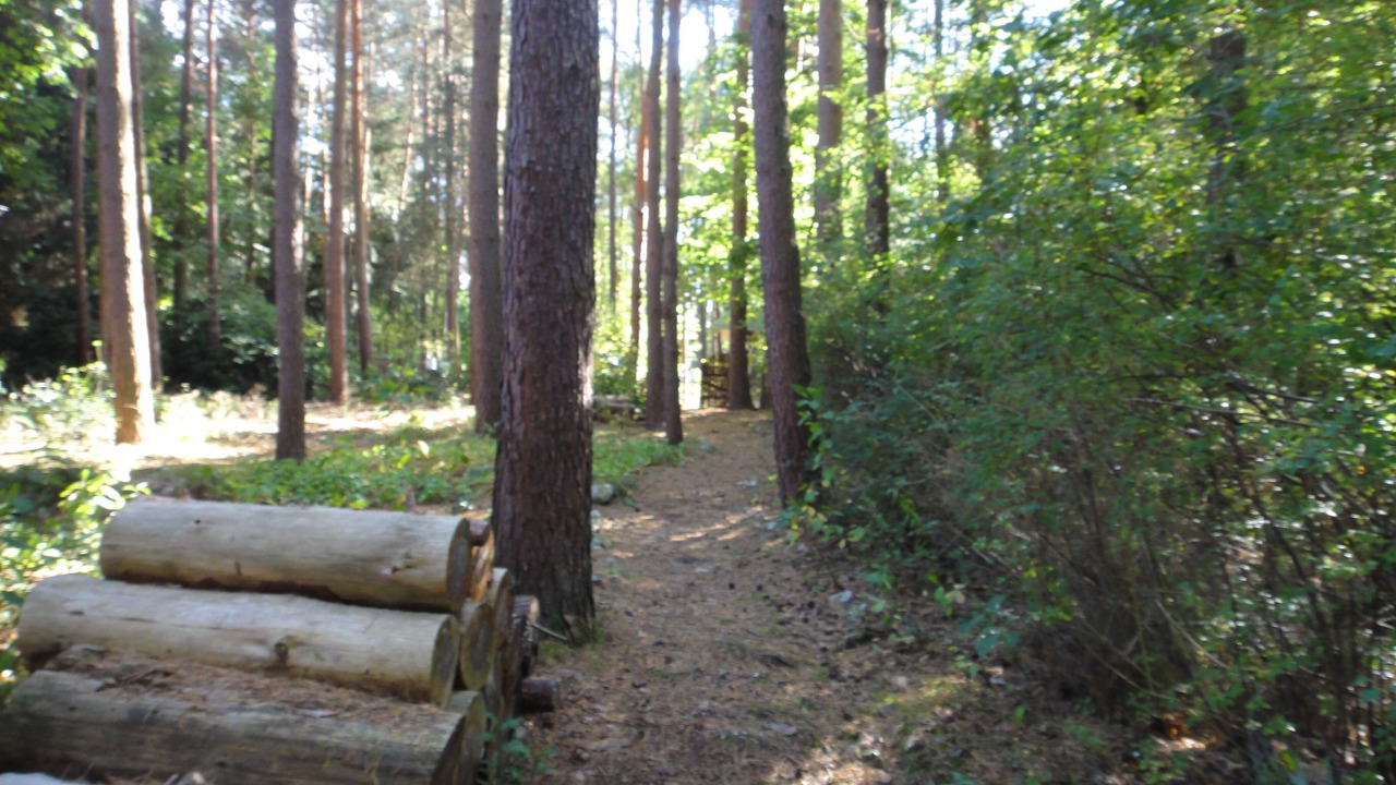 Photo of Outdoor in Hitzacker