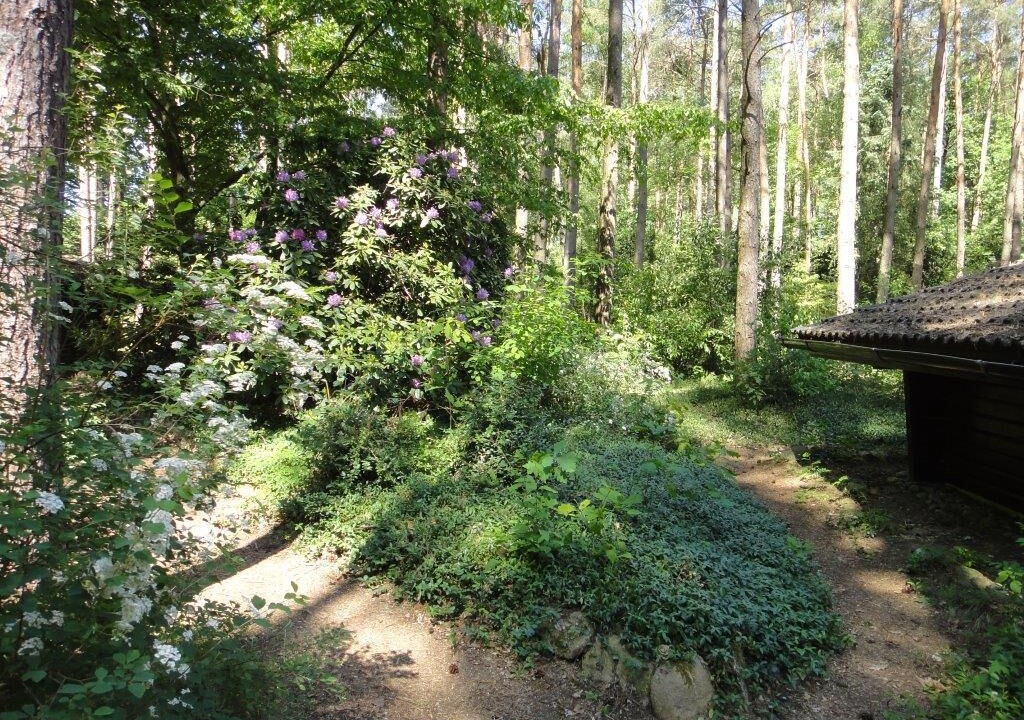 Photo of Outdoor in Hitzacker