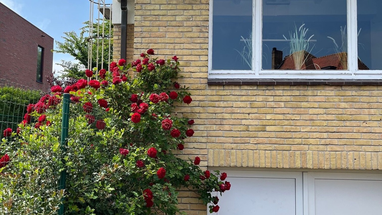 Photo of Outdoor in Nieuwpoort-Bad