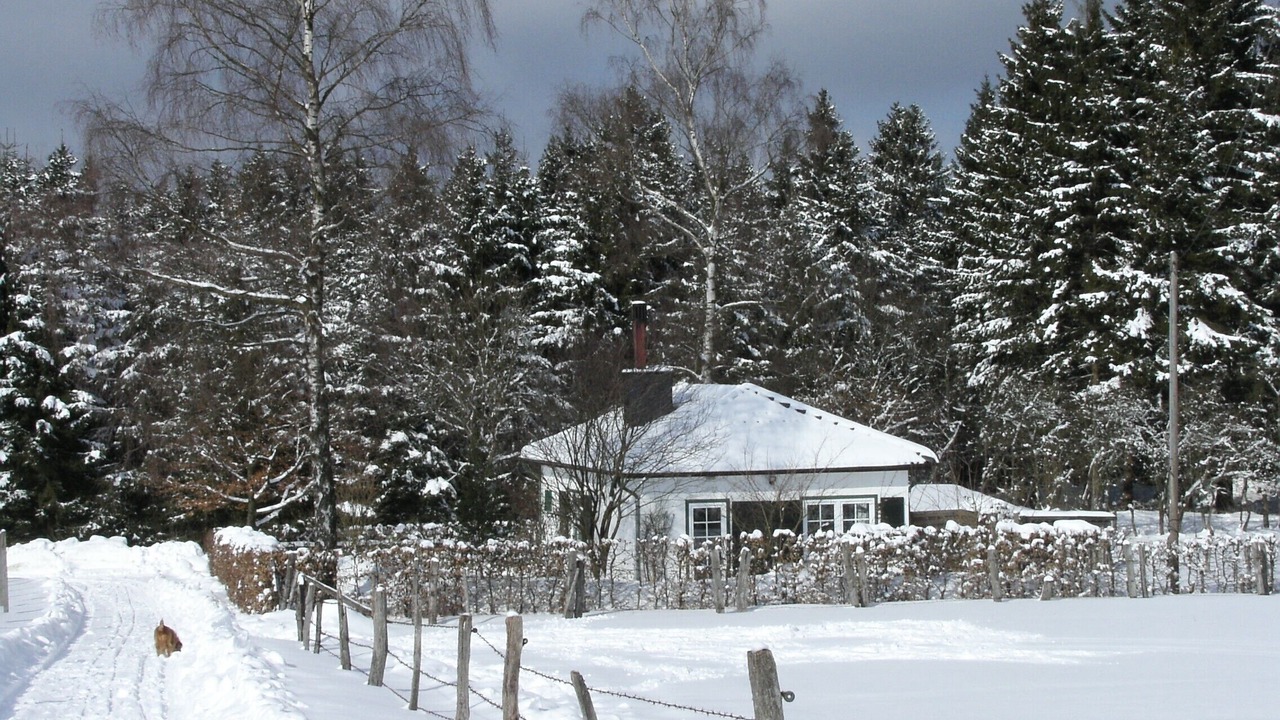 Photo of Outdoor in Nuttlar