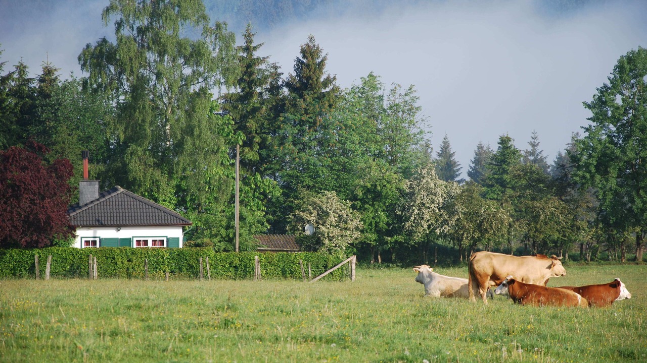 Photo of Outdoor in Nuttlar