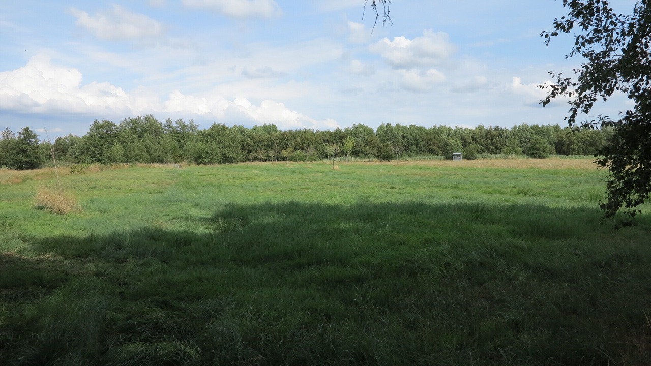 Photo of Others in Oederquart
