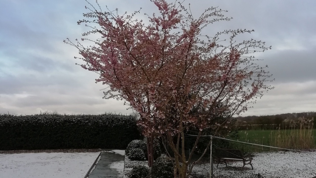 Photo of Outdoor in Ochtmissen