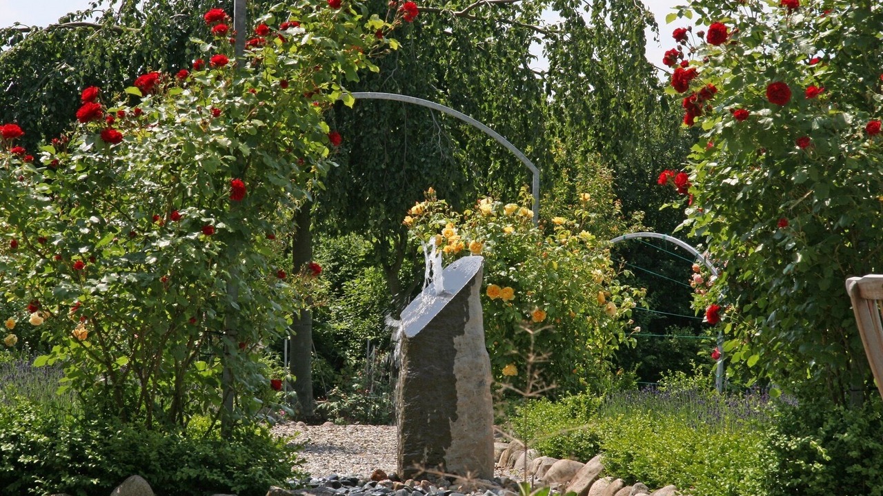 Photo of Outdoor in Ochtmissen