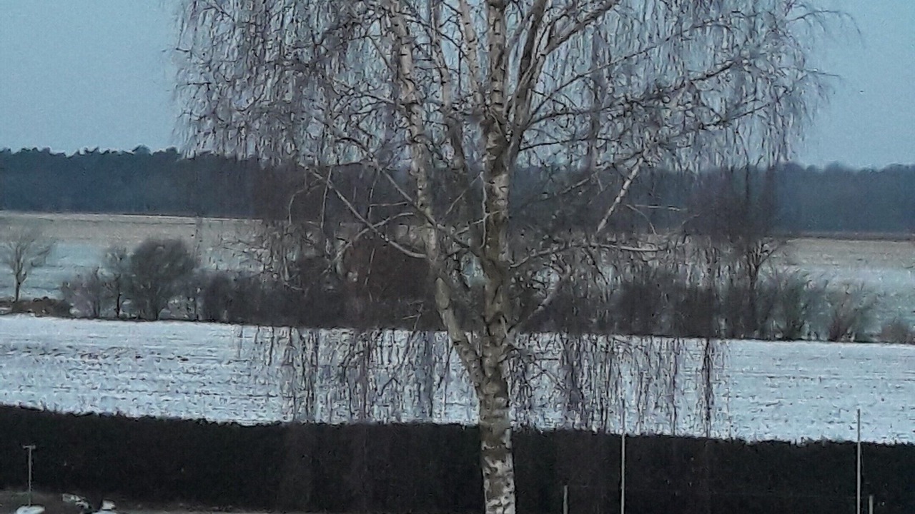 Photo of Others in Ochtmissen