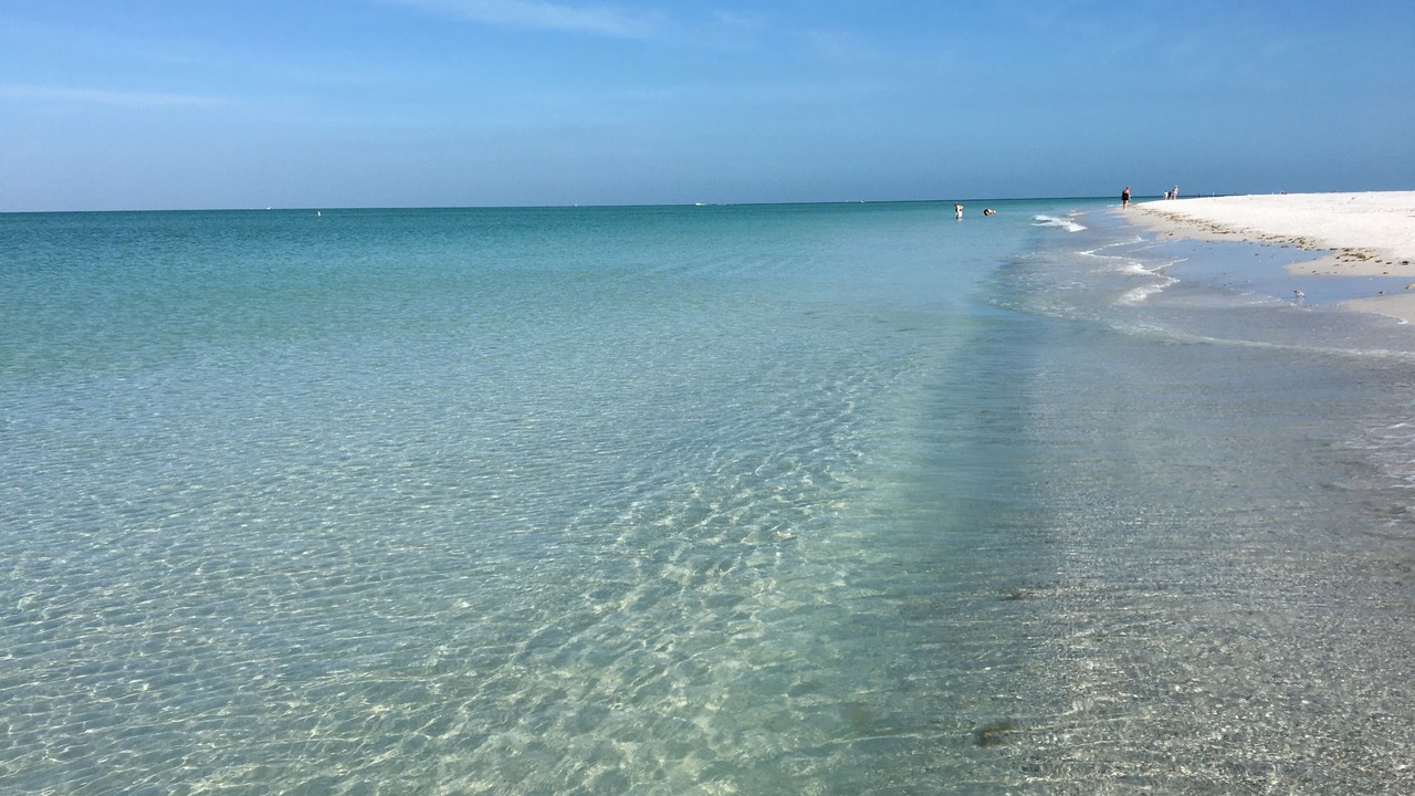 Photo of Others in Anna Maria