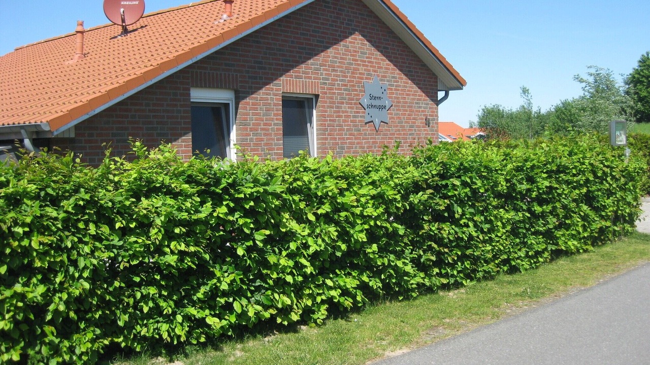 Photo of Outdoor in Norderteil