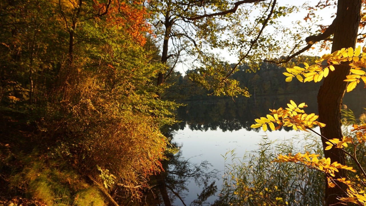 Photo of Outdoor in Waldsieversdorf
