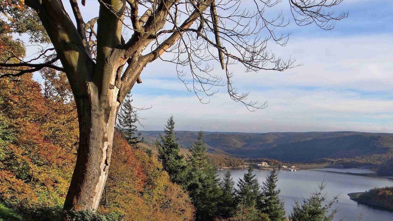 Photo of Outdoor in Kommerscheidt