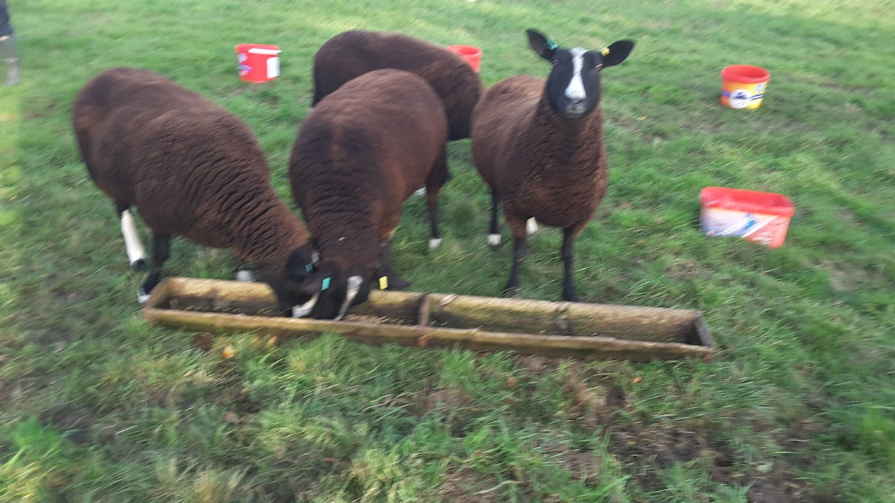Photo of Others in Walshford