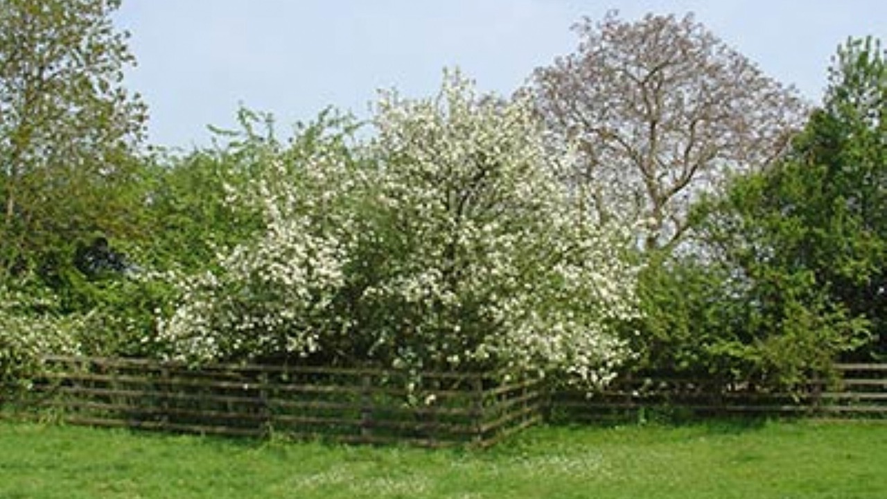 Photo of Outdoor in Walshford