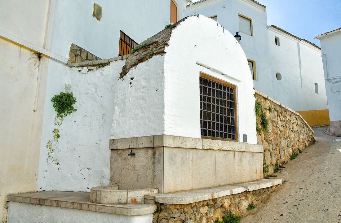 Photo of Outdoor in Oliva