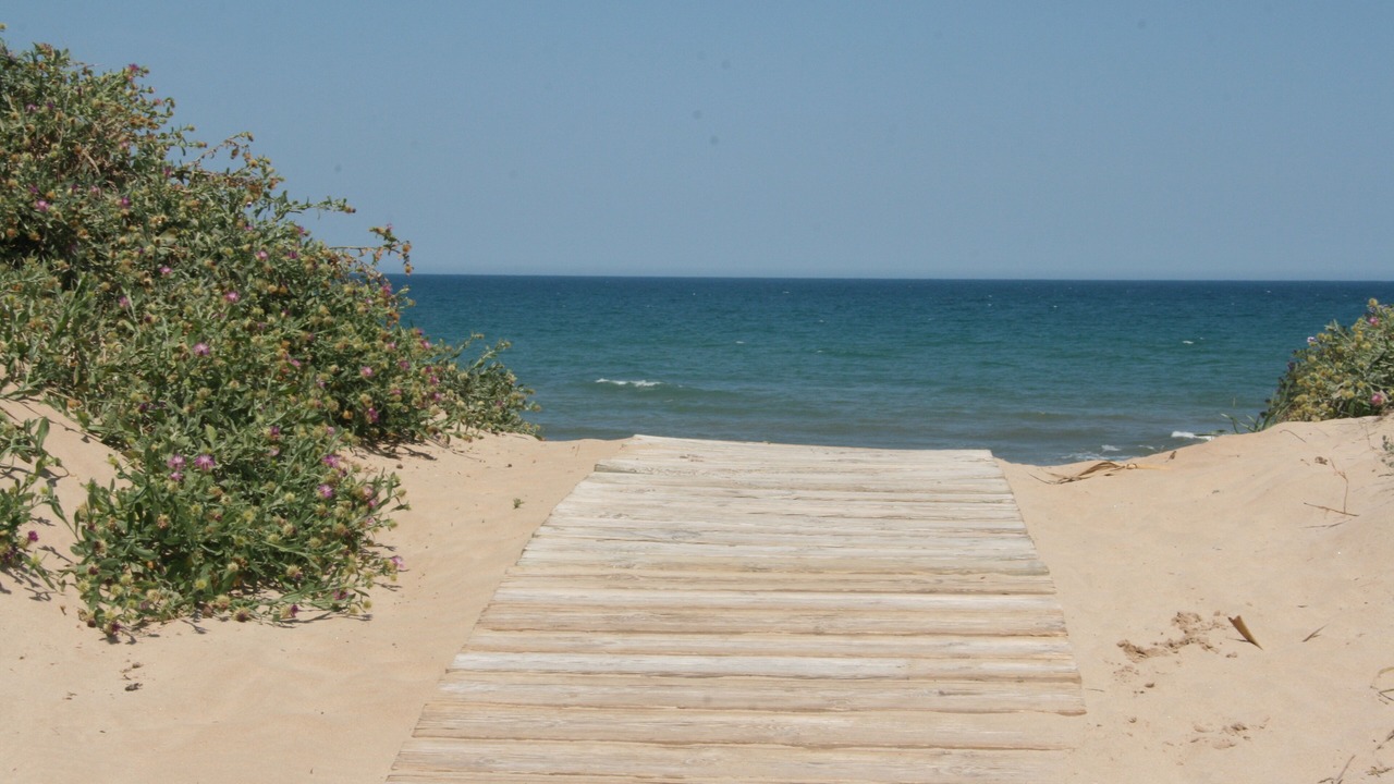 Photo of Others in Oliva