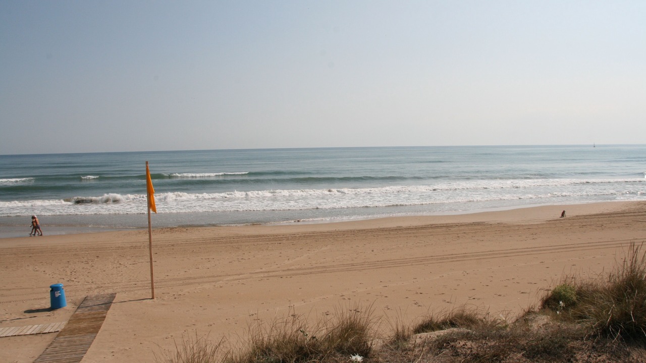 Photo of Others in Oliva