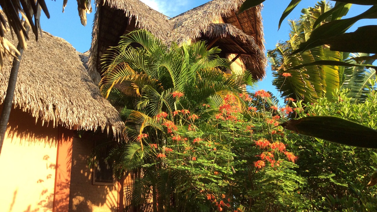 Photo of Outdoor in Ambondrona