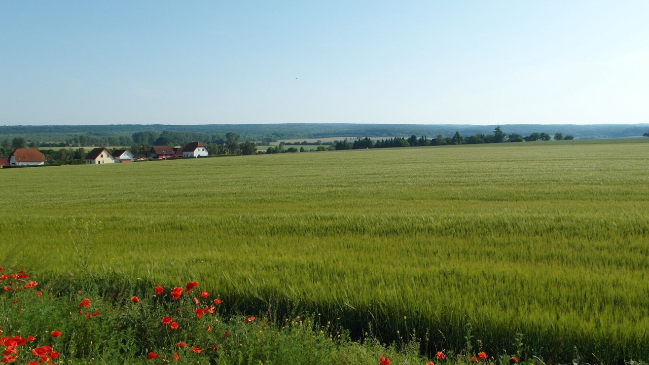 Photo of Outdoor in Unstrut-Hainich