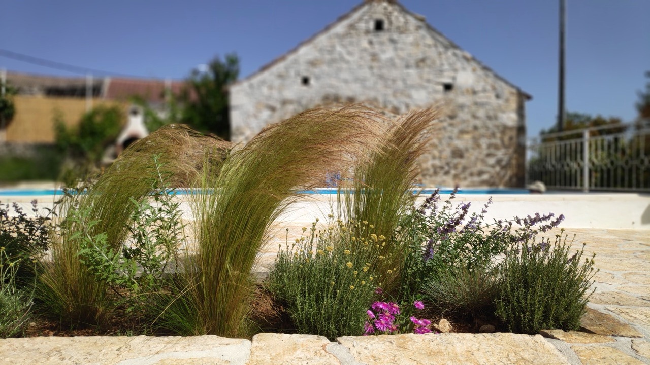 Photo of Outdoor in Velim