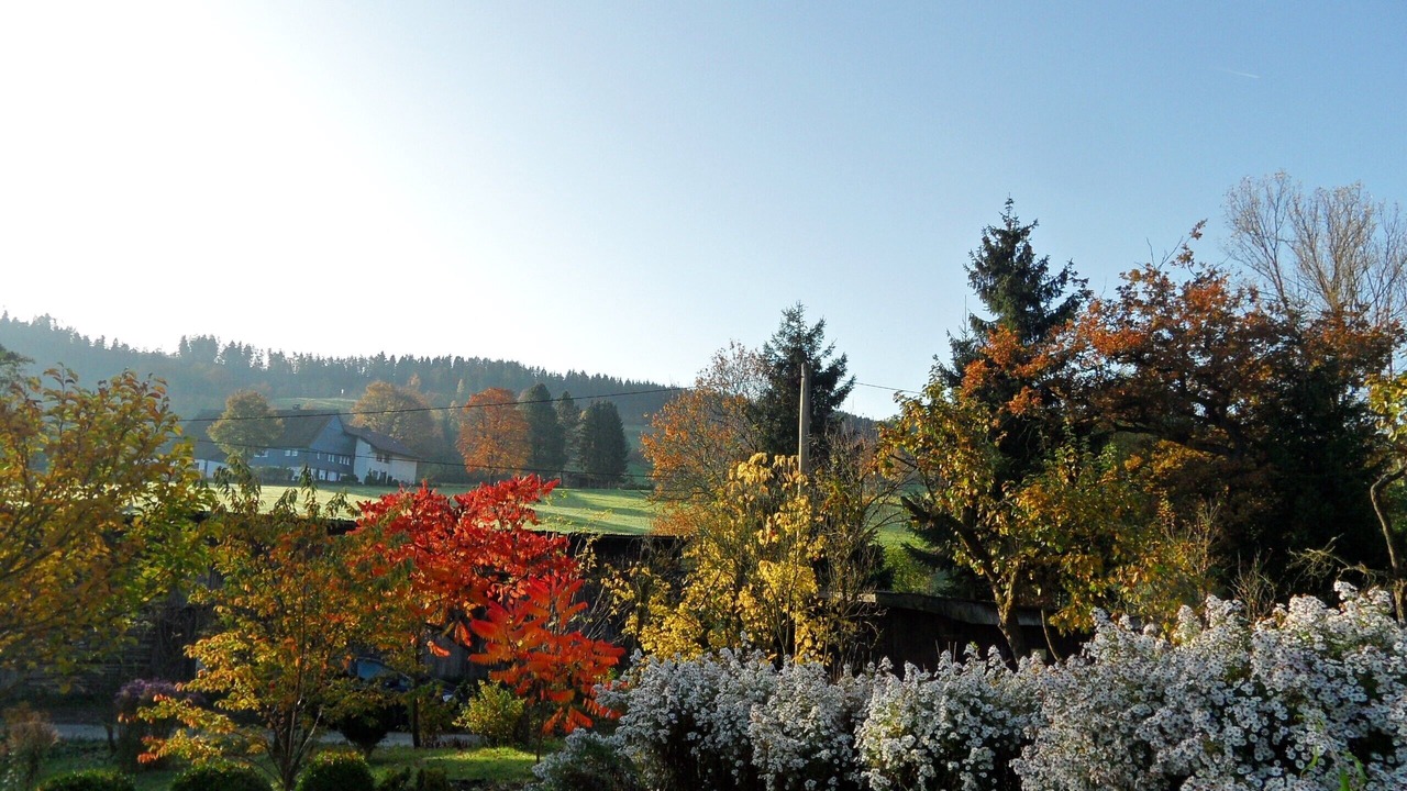 Photo of Outdoor in Sundern