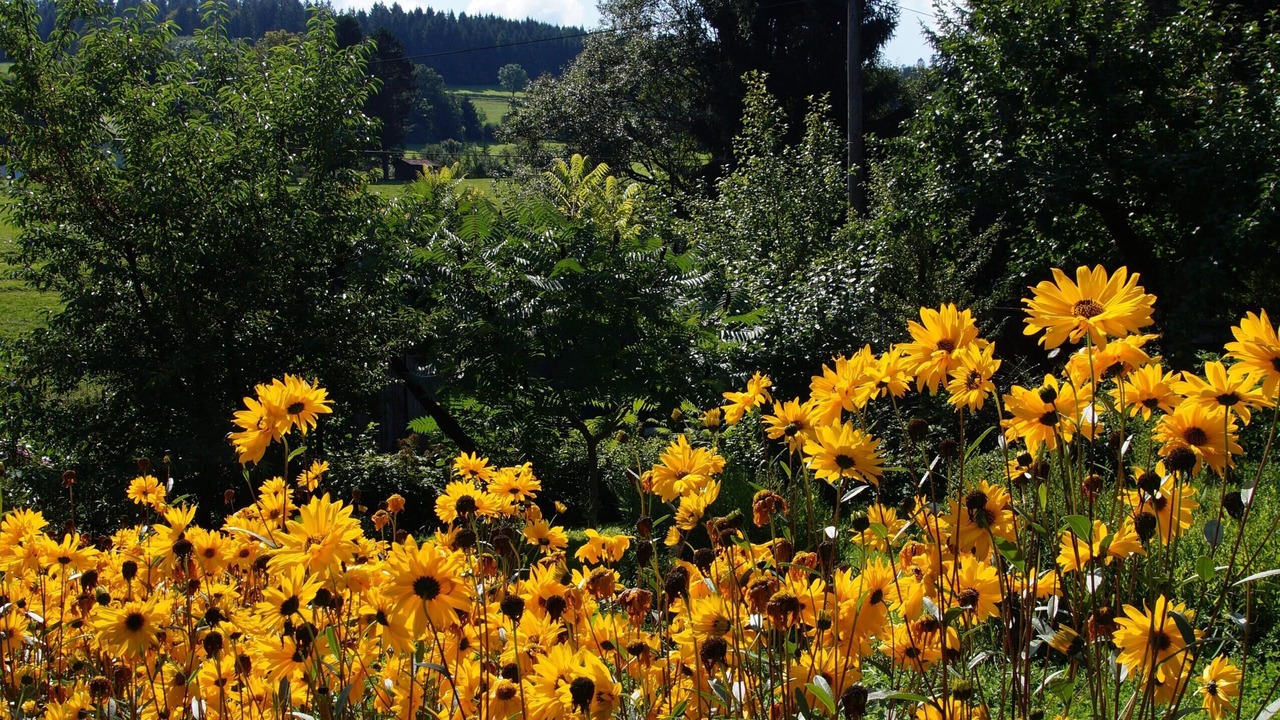 Photo of Outdoor in Sundern
