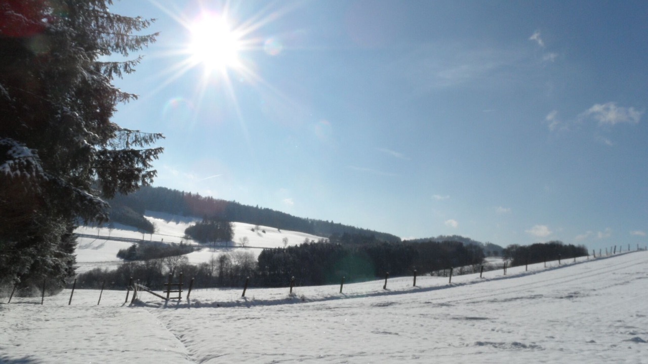 Photo of Others in Sundern