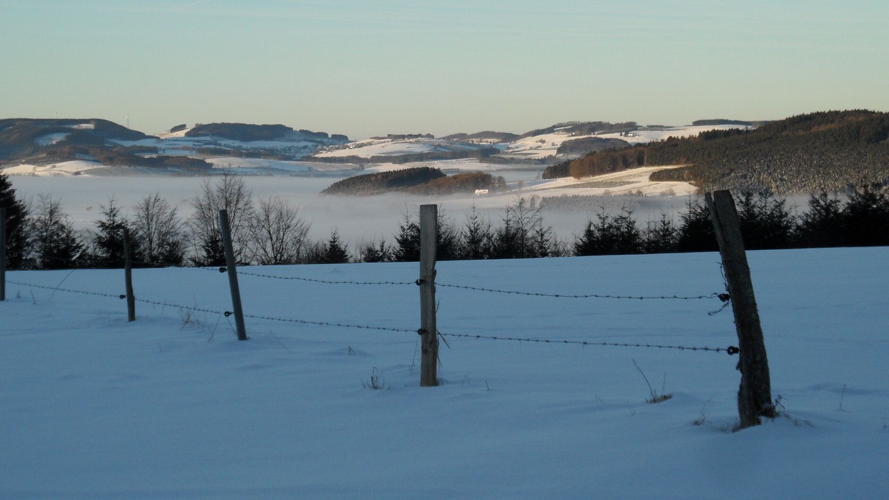 Photo of Others in Sundern