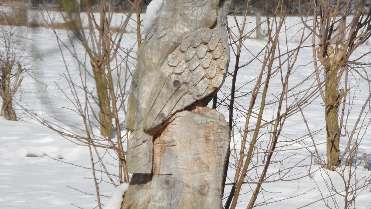 Photo of Outdoor in Sundern