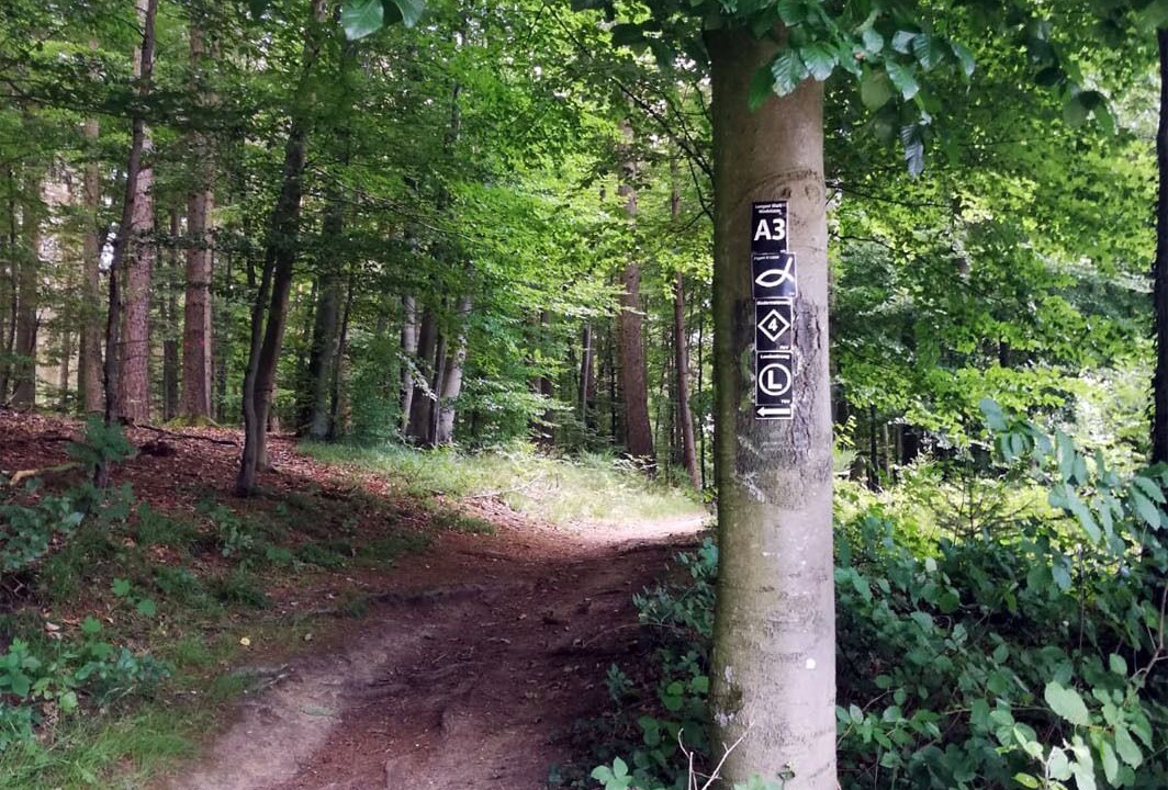 Photo of Outdoor in Lemgo