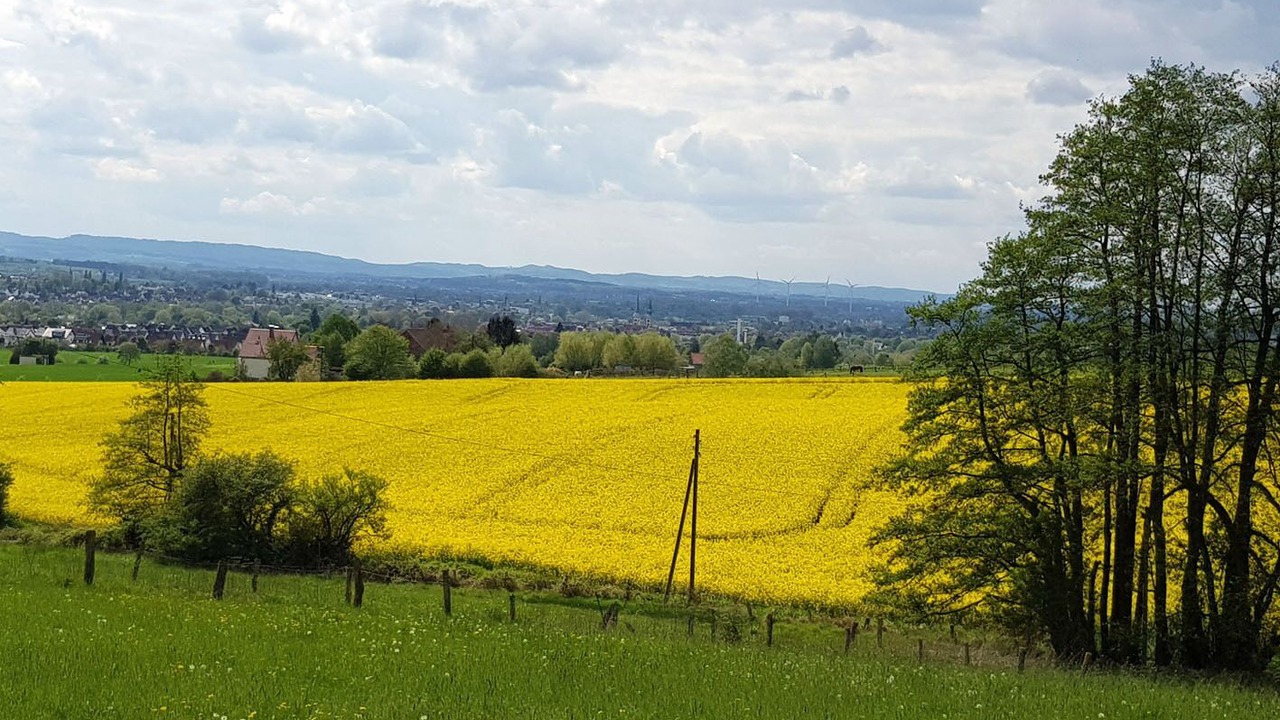 Photo of Outdoor in Lemgo