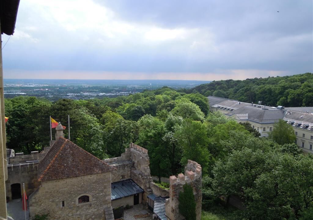Photo of Others in Wiener Neudorf