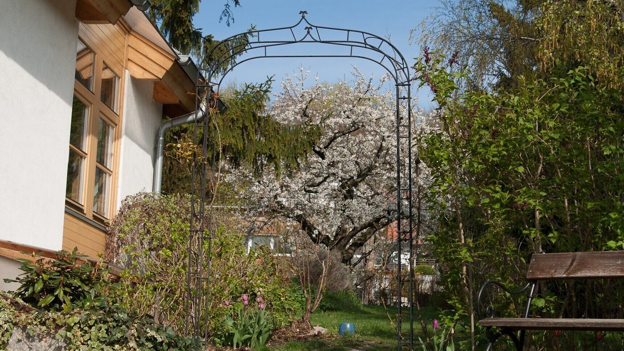 Photo of Outdoor in Maria Enzersdorf