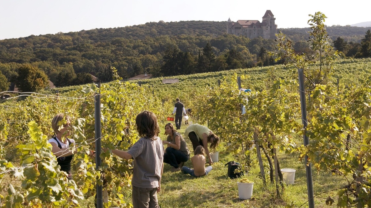 Photo of Outdoor in Maria Enzersdorf