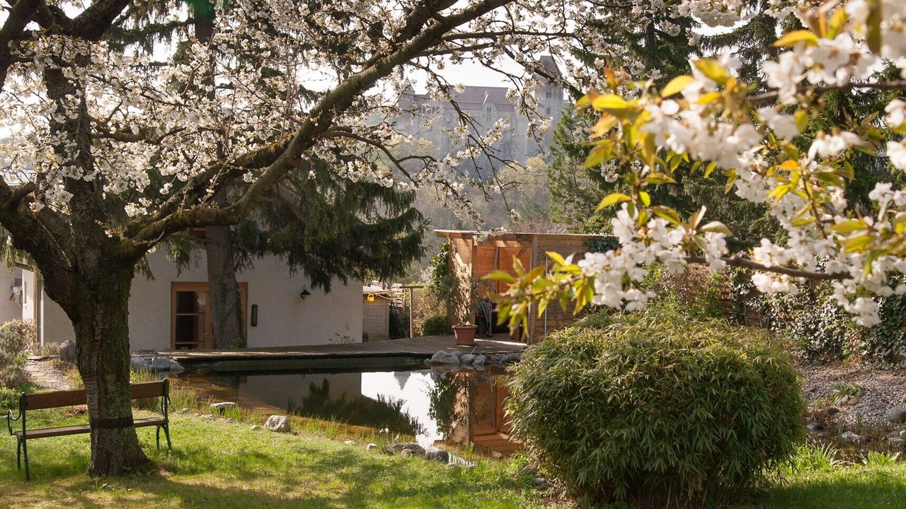 Photo of Outdoor in Maria Enzersdorf
