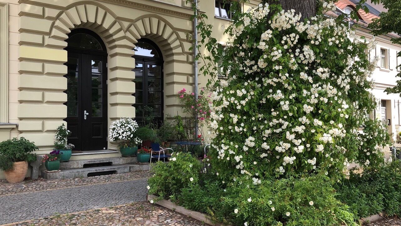 Photo of Outdoor in Werder