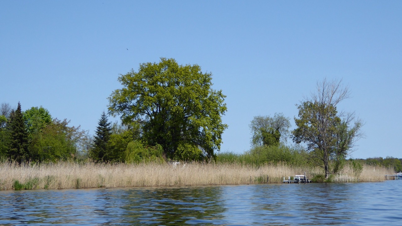 Photo of Others in Werder