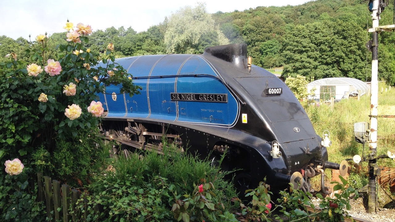 Photo of Others in Pickering